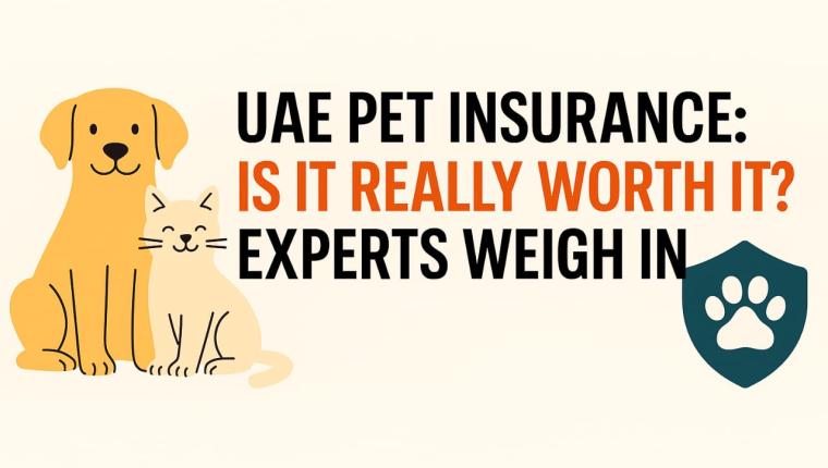 Is Pet Insurance in the UAE Worth It? A Close Look at What Pet Owners Should Know