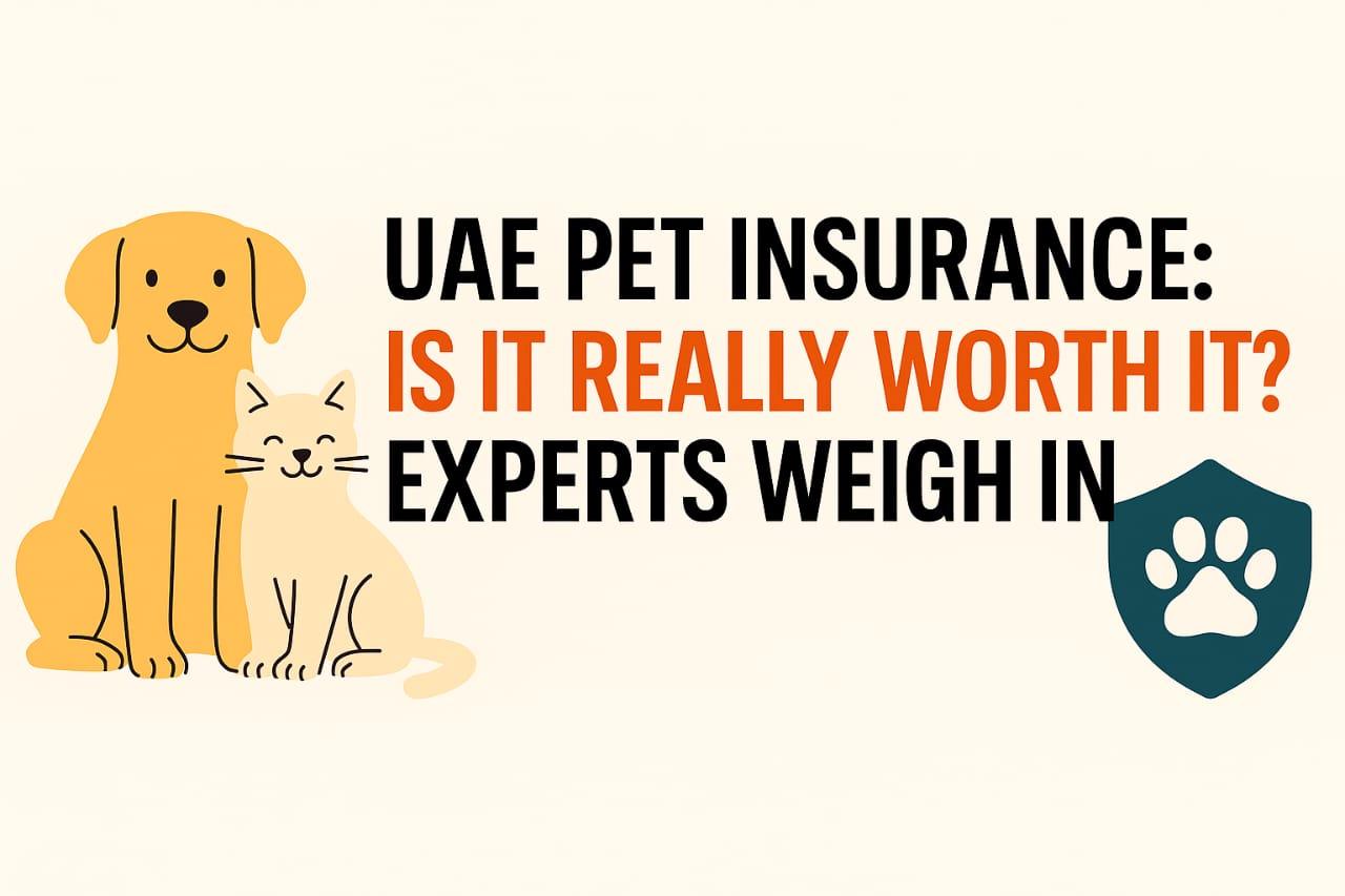 Is Pet Insurance in the UAE Worth It? A Close Look at What Pet Owners Should Know