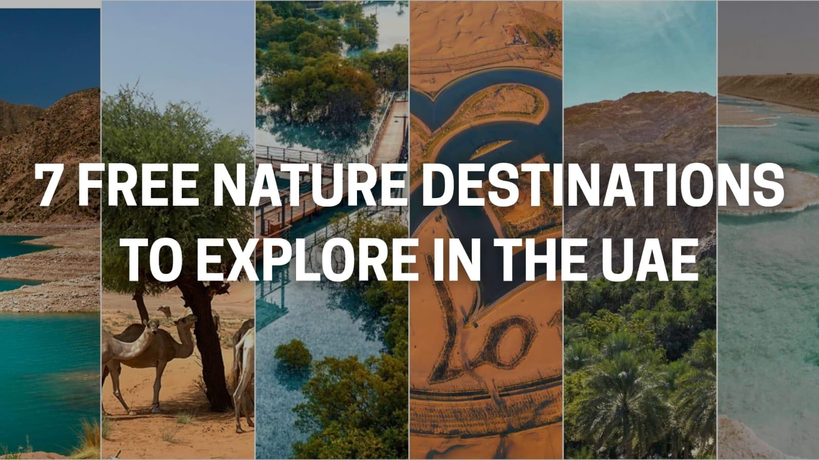 Discover 7 Free Natural Escapes in the UAE This Summer – From Secret Peaks to Serene Desert Lakes